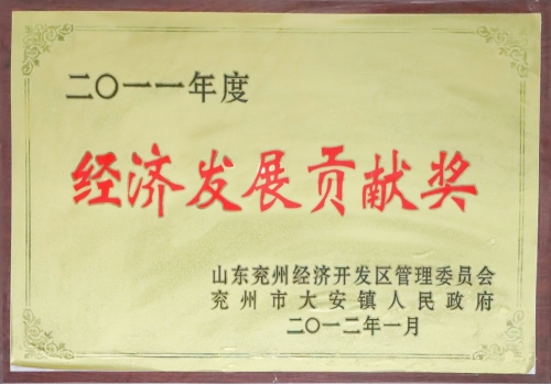 2011年度經濟發展貢獻獎