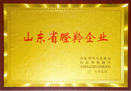 2018年度-山東省瞪羚企業