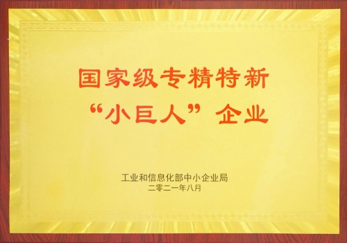 國家級專精特新“小巨人”企業