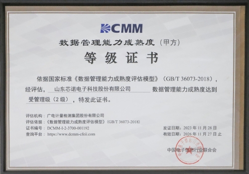 數據管理能力成熟度二級
