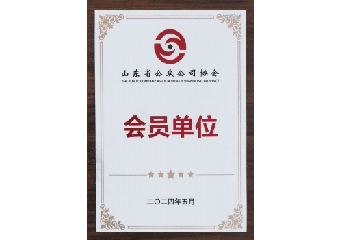 山東省公眾公司協會會員單位